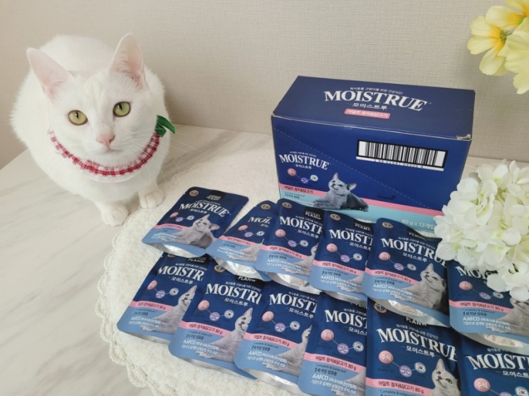 뉴트리플랜 모이스트루 고양이주식 습식사료 기호성 후기