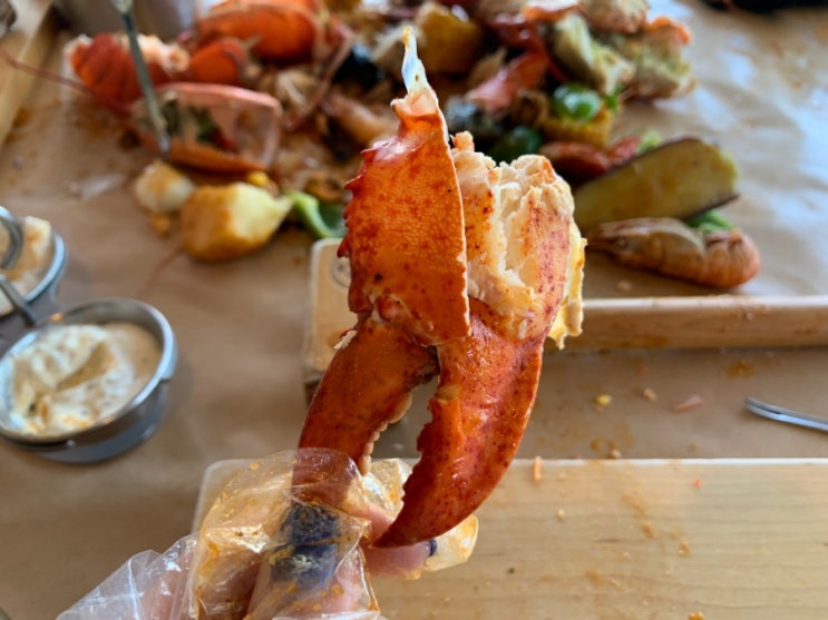  제주도 애월 반려동물 동반 맛집 <제주 크랩잭> 랍스타 먹기 + 크랩잭 웨이팅 대기