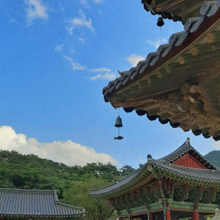 충북 가볼만한곳 :: 세계문화유산 속리산 법주사 세조길 정이품송 충북 가볼만한곳 :: 세계문화유산 속리산 법주사 세조길 정이품송