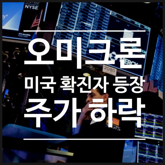  미국 첫 오미크론 확진자 소식에 미국 증시 급락! 코로나19 변이 바이러스 돌파감염 공포