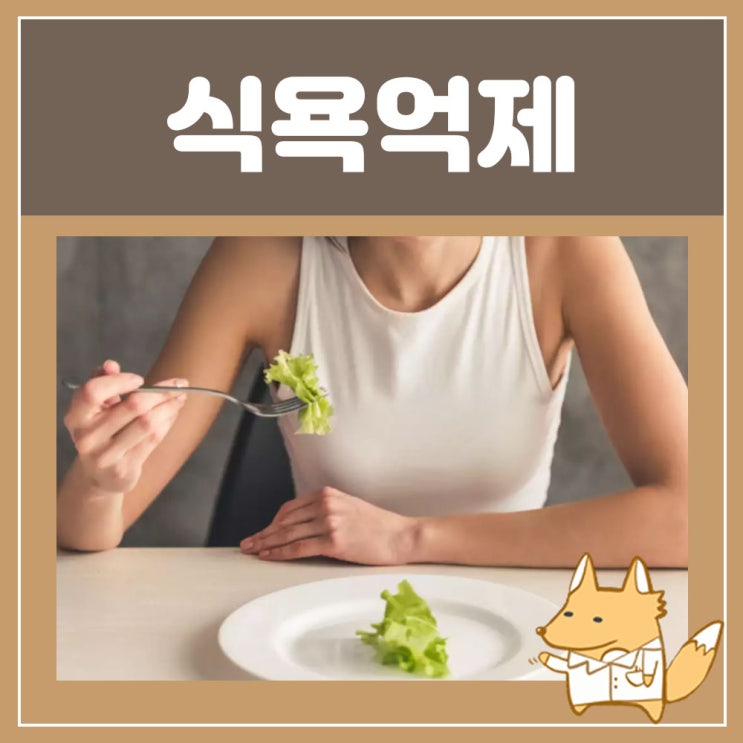  식욕억제제 : 디에타민(디에타민정) 식욕 참는법 천연식욕억제제 알아봐요