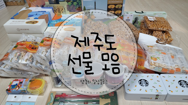  내돈내산) 제주도 선물 모음 추천