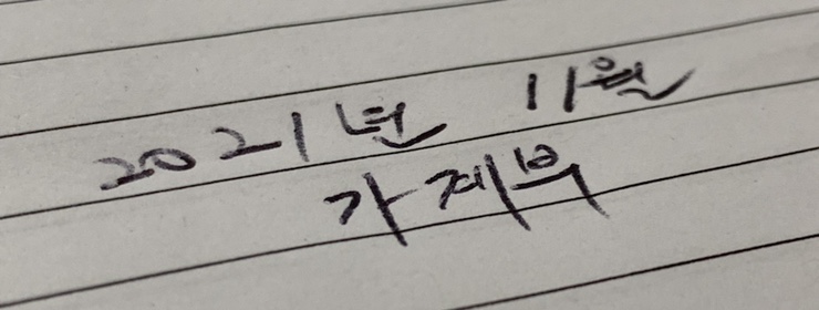  캐나다에서 아내님이 쓰고 남편이 쓰는 가계부 2021년 11월 지출 내역