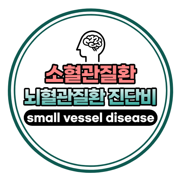 소혈관질환(small vessel disease) 뇌혈관질환 진단비 받으려면