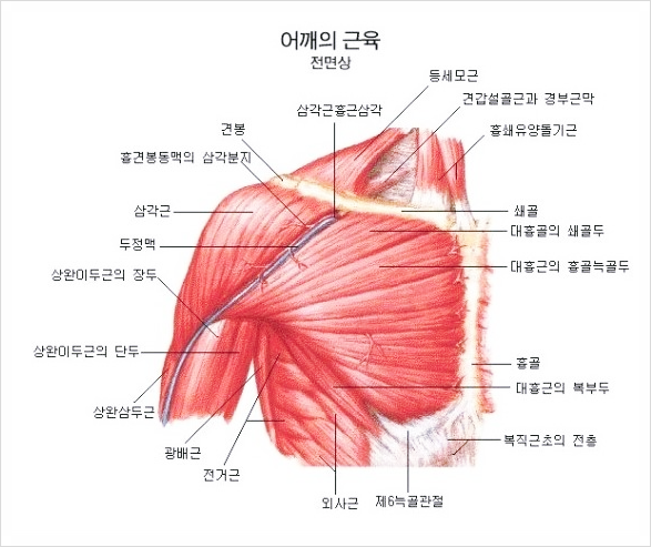  전주 상체 관리 전문점, 하하가 유일한 이유