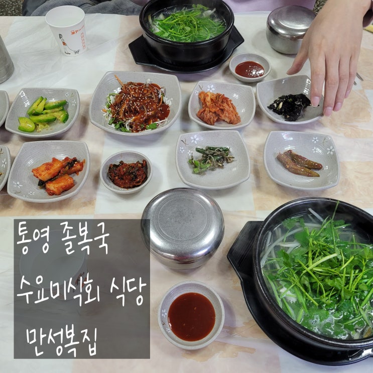  통영 수요미식회식당 서호시장에 위치한 만성복집 졸복국 해장하기