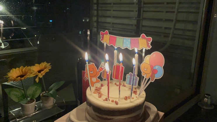  2021 | 11 월간다인: 애플워치se 천섬 리버뷰 스파 뱅크샐러드 유전자검사 올리브영 프로틴쿠키 치즈 춘식이케이크 밀레니엄힐튼