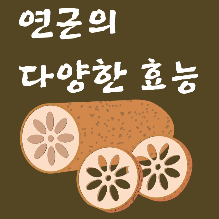  빈혈 예방과 어지럼증 개선에 좋은 음식, 연근의 효능과 영양소!