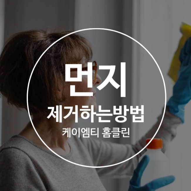 집안 먼지제거하는방법 어떤게 있을까? 집안 먼지제거하는방법 어떤게 있을까?