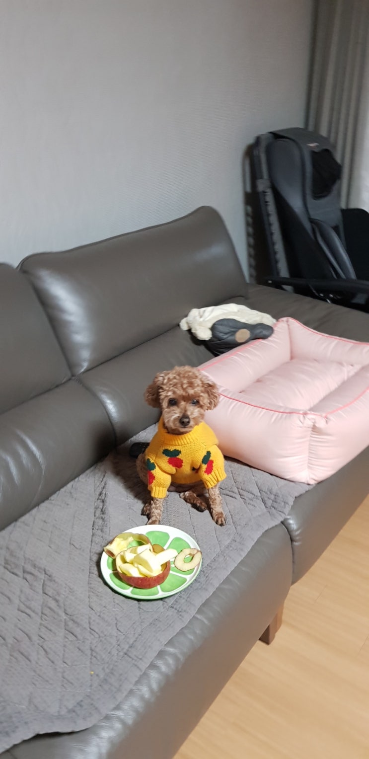  당근처럼예쁜콩이~