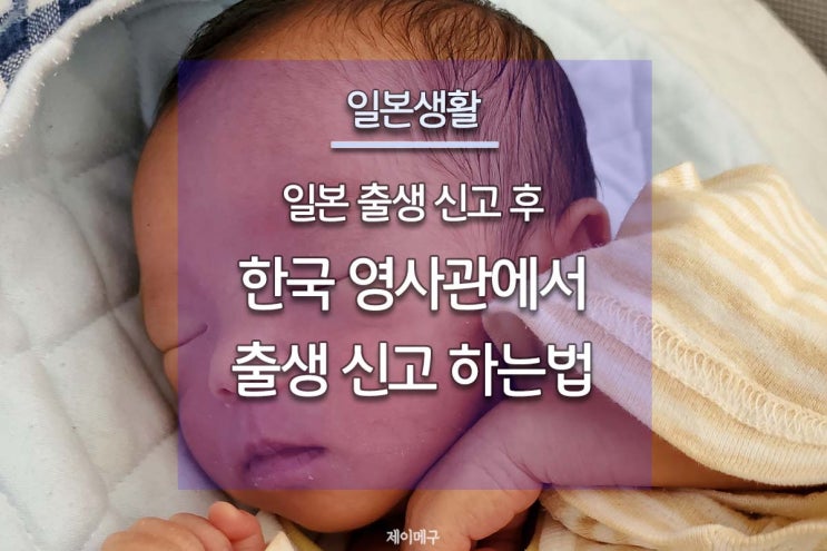  일본생활 :: 한일커플 일본의 한국 영사관에서 출생신고하는 법 (번역본 첨부)
