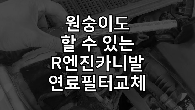 그랜드카니발 (R엔진) 연료필터 자가교체 DIY방법 소개
