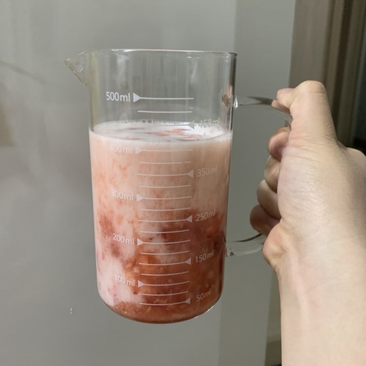  [음료] 딸기철에는 딸기 막걸리