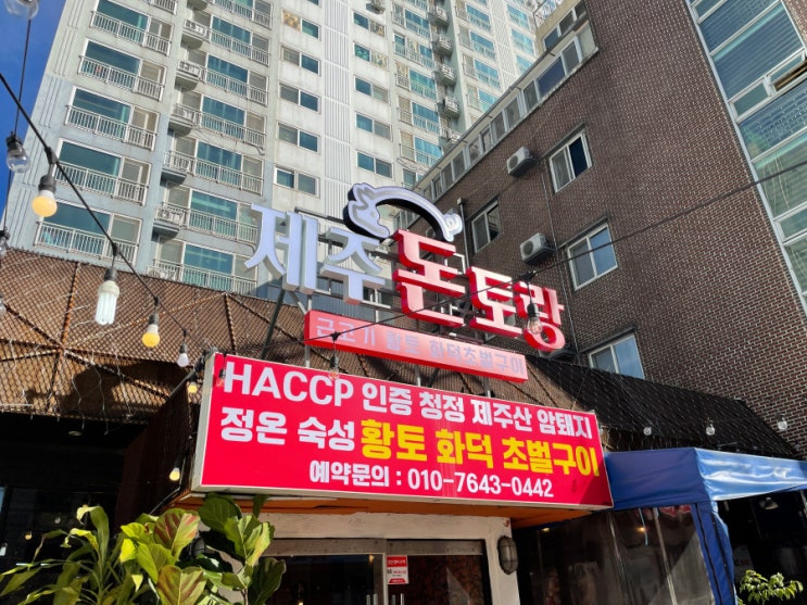  제주시 제주흑돼지맛집 고기가 맛있는 제주돈토랑