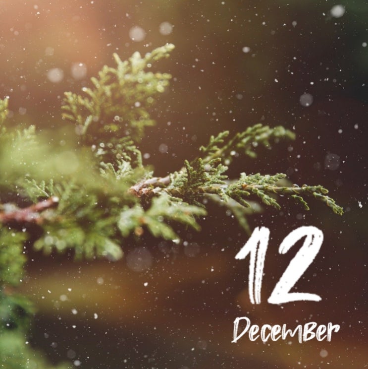 Hello December