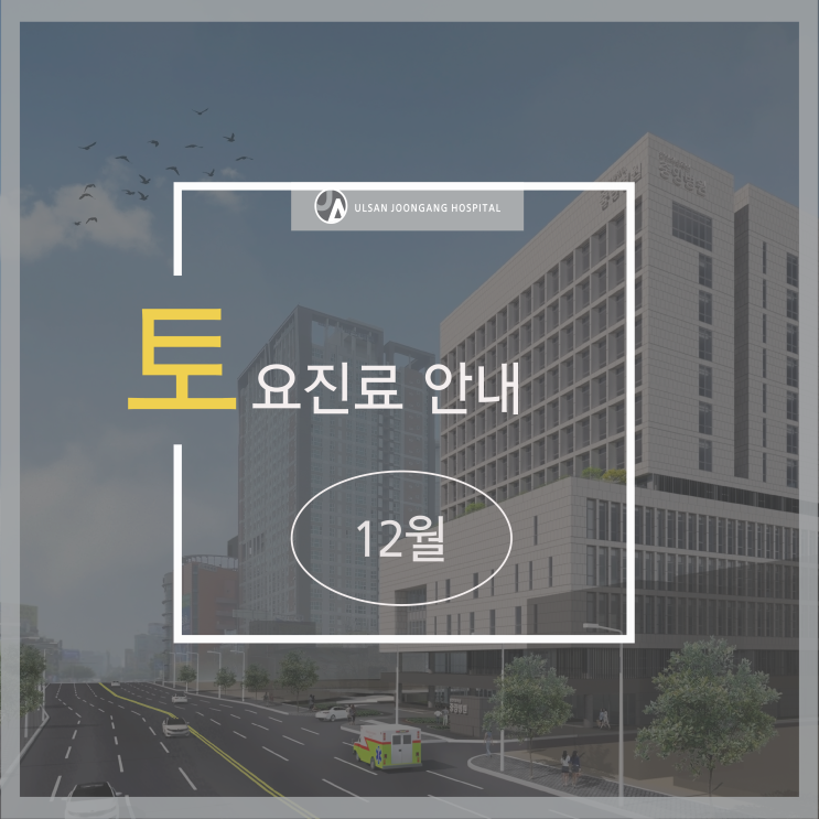  12월 토요일 진료 의료진 및 진료과 안내