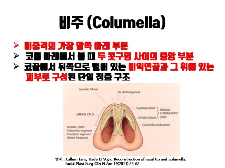  본인 코의 비주(콧기둥) 모양이 만족스럽지 않은 경우 비주내리기로 교정해 보세요!!!