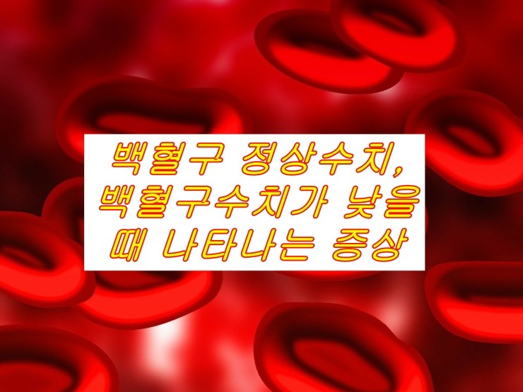  [백혈병]백혈구 정상수치, 백혈구 수치가 낮을때 나타나는 증상