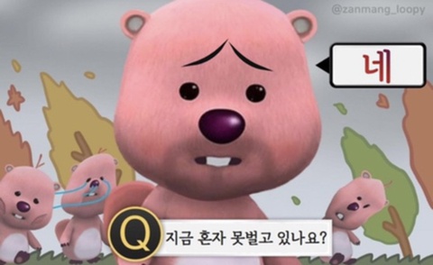  12월이라고요? 한 게 없는데요?ㅠㅠ 2021년 11월 일상 보고