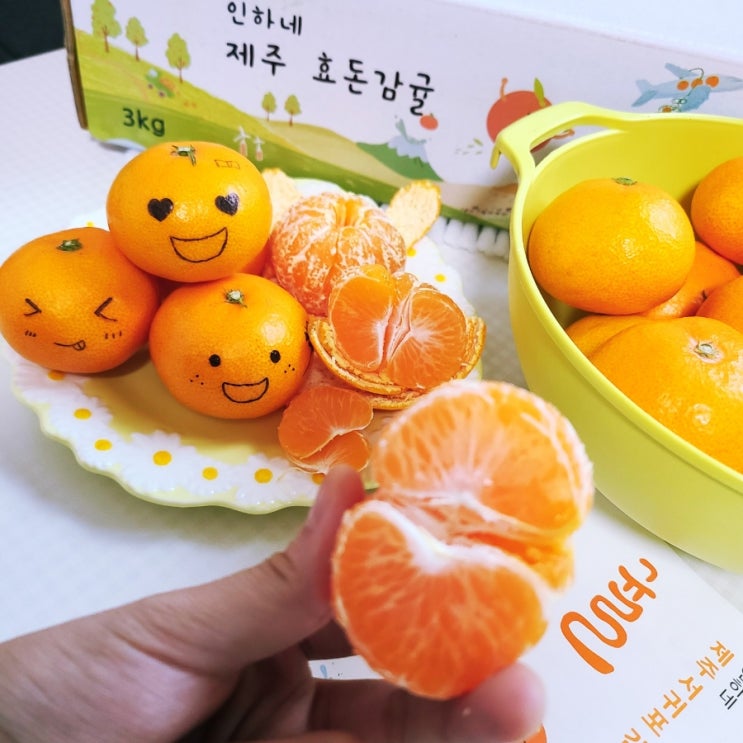  제주 효돈 인하네 노지감귤로 따뜻한 겨울 보내요.