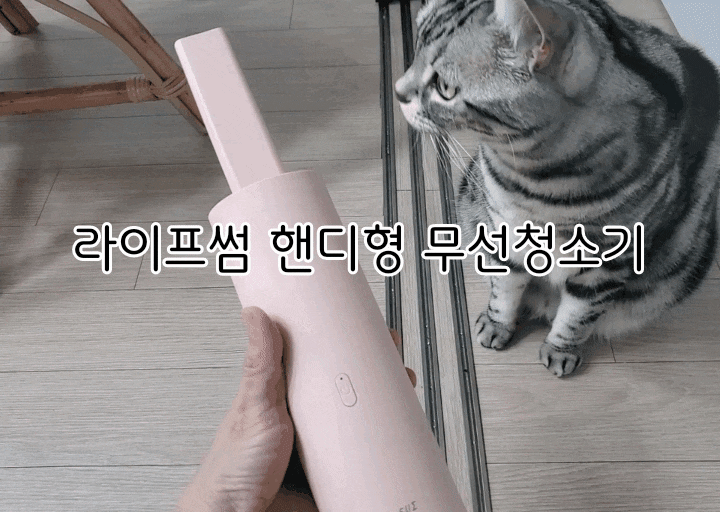 라이프썸 핸디형 무선청소기 내돈내산 만족도100% 찐후기 라이프썸 핸디형 무선청소기 내돈내산 만족도100% 찐후기