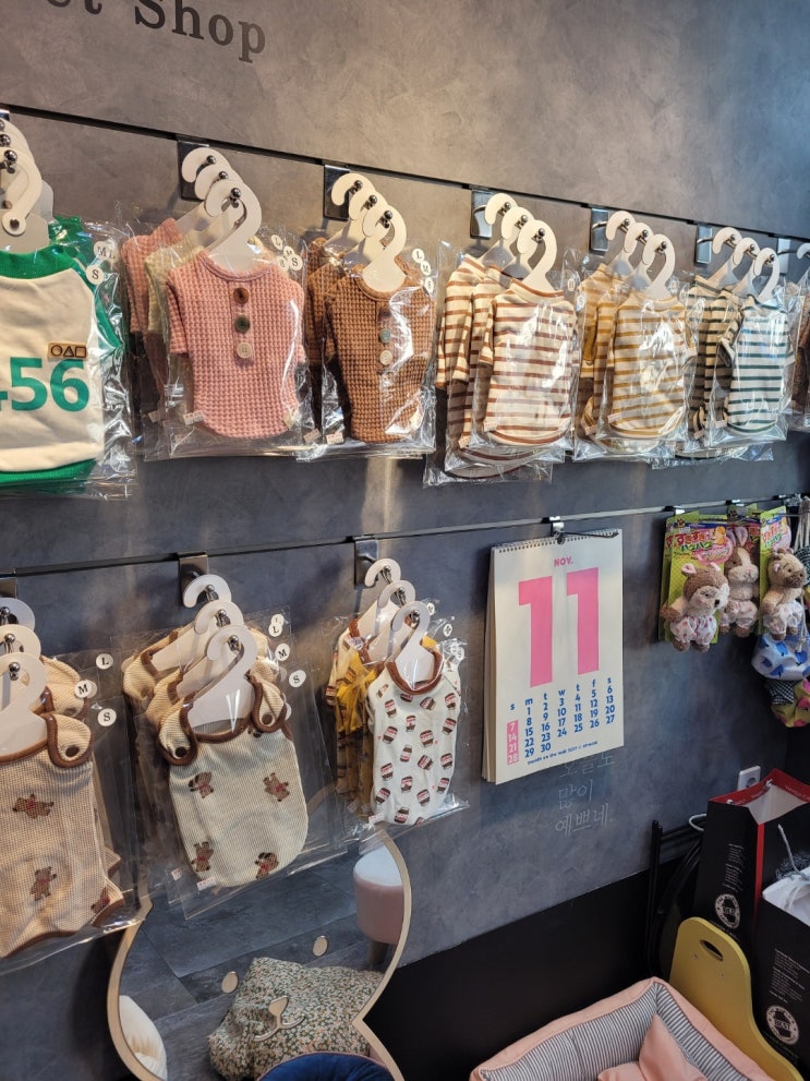  부산비숑미용 고민할 필요가 없다네