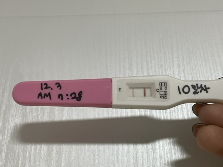 [시험관6차] 신선이식 5일배양 10일째 임테기 진하기 /두유, 수면양말, 물섭취
