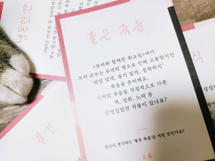 올댓뮤즈 진지희가 소개한 < 함께, 기억 > 웰다잉 대화카드 올댓뮤즈 진지희가 소개한 < 함께, 기억 > 웰다잉 대화카드