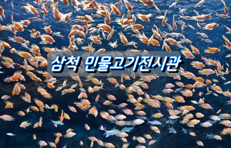 어린이와 함께 가볼만한곳 삼척 민물고기전시관