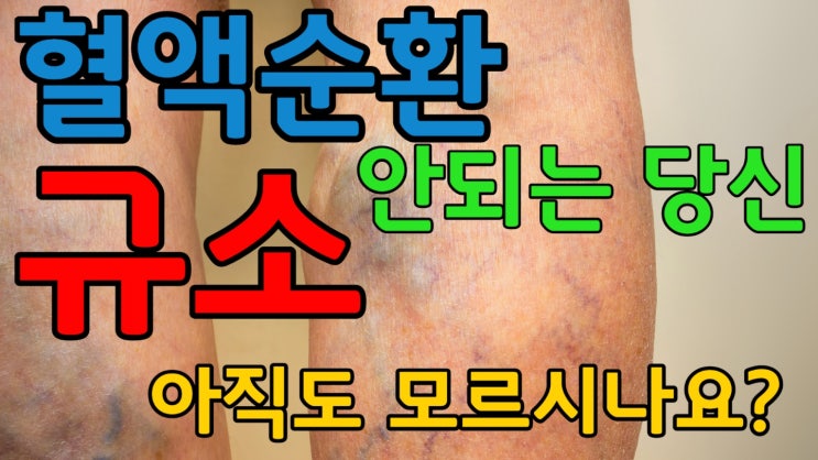  혈액순환 개선에 좋은 규소와 음식