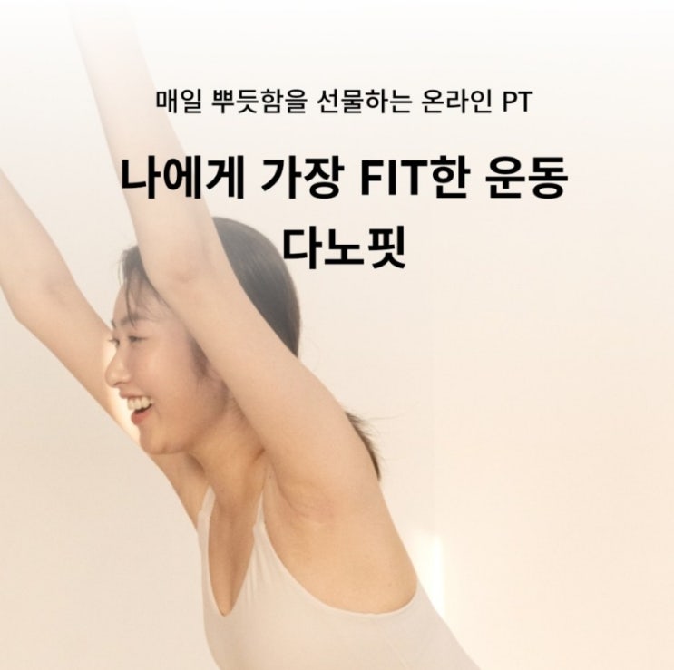  다노핏 / DANO FIT 으로 기초체력 키우기