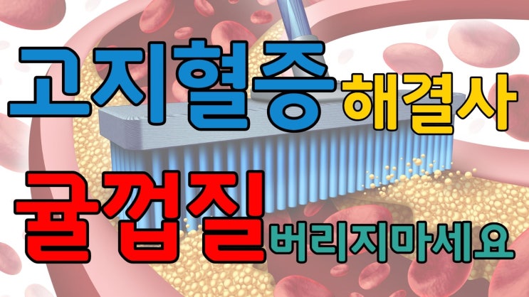  고지혈증과 콜레스테롤에 좋은 귤의 효능과 요리법