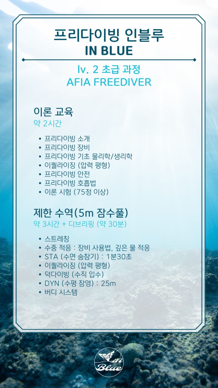  [프리다이빙 인블루] 아피아 프리다이버｜AFIA FREEDIVER