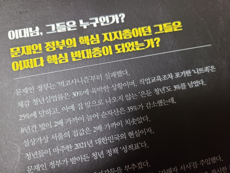  청년정치혁명시리즈 : 분노와 불안의 시대 20대 남자, 그들이 몰려온다