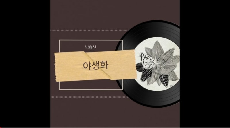 박효신 야생화 남자 고음 노래 2010년대 명곡 발라드 / 박효신 노래 모음