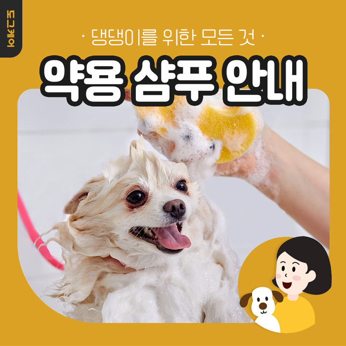  강아지 약용 샴푸 안내사항 도그케어