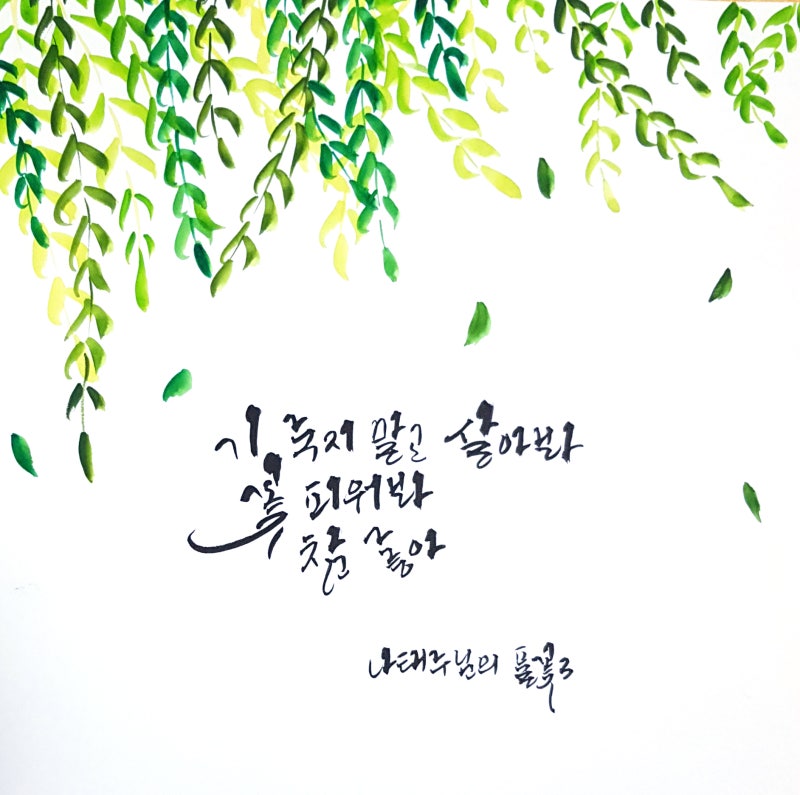 [대전 캘리그라피] 나태주님의 '풀꽃3'을 수채화 캘리그라피로 쓰다! : 네이버 블로그