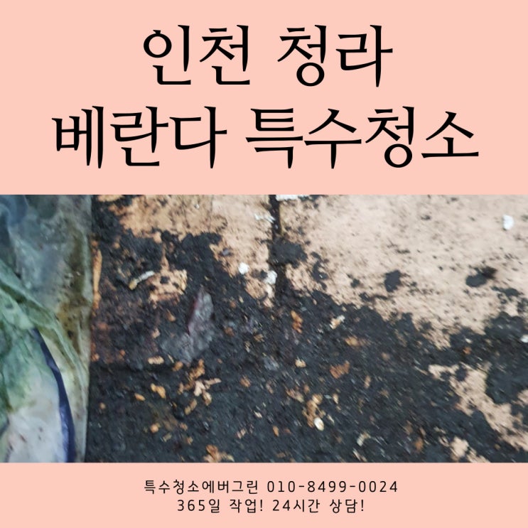 인천 서구 청라 특수청소 - 아파트 베란다 청소