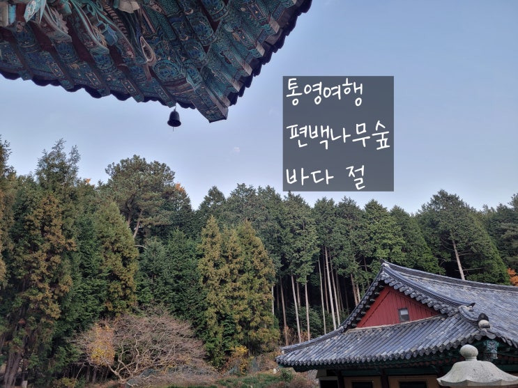  통영여행코스 추천 편백나무 가득 피톤치드 낭낭한 미래사