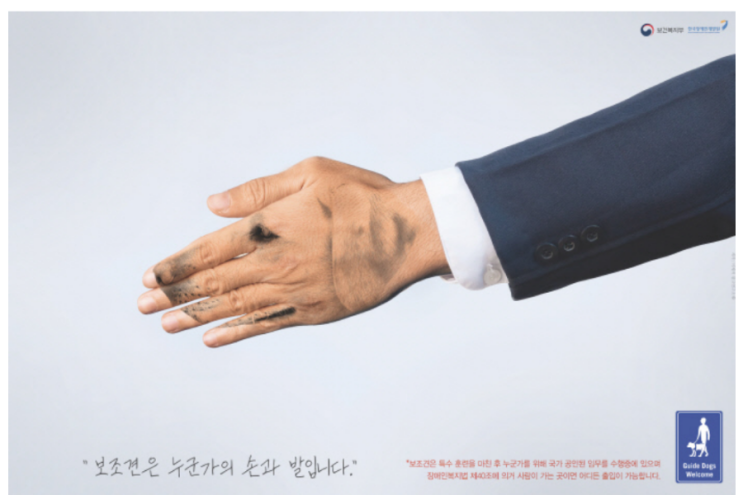 ‘출입 금지’ 당하는 장애인의 손과 발…“보조견은 나와 한 몸이에요” ‘출입 금지’ 당하는 장애인의 손과 발…“보조견은 나와 한 몸이에요”