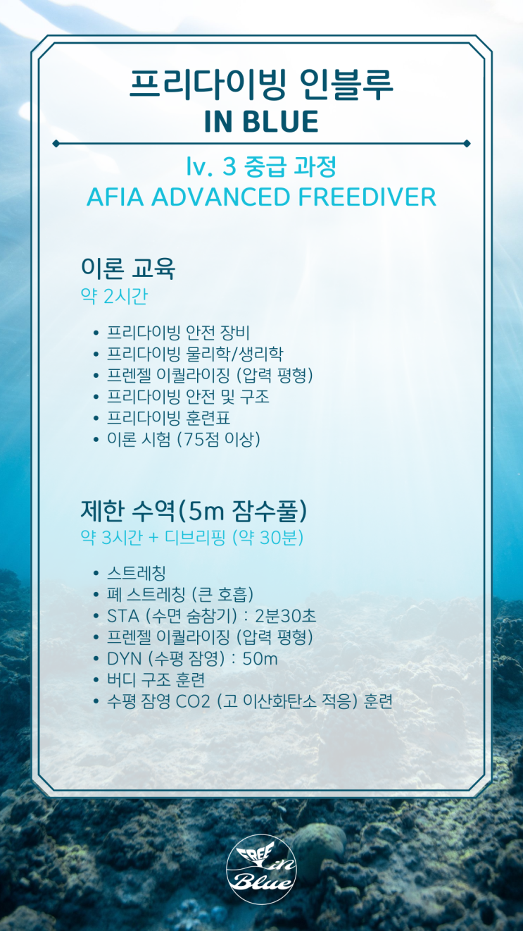  [프리다이빙 인블루] 아피아 어드밴스 프리다이버｜AFIA ADVANCED FREEDIVER