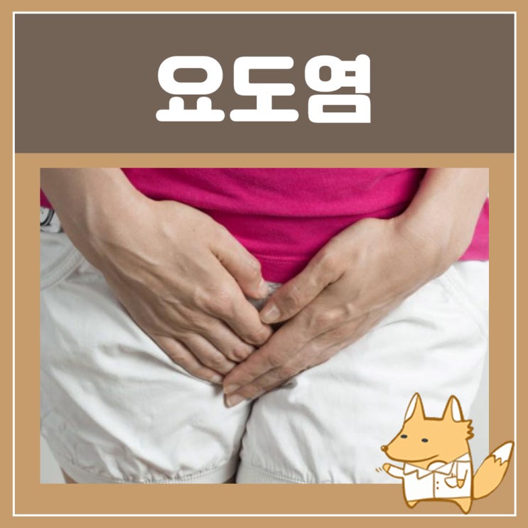  남자 여자 요도염 증상, 자연치료 : 비임균성 요도염, 생식기 가려움