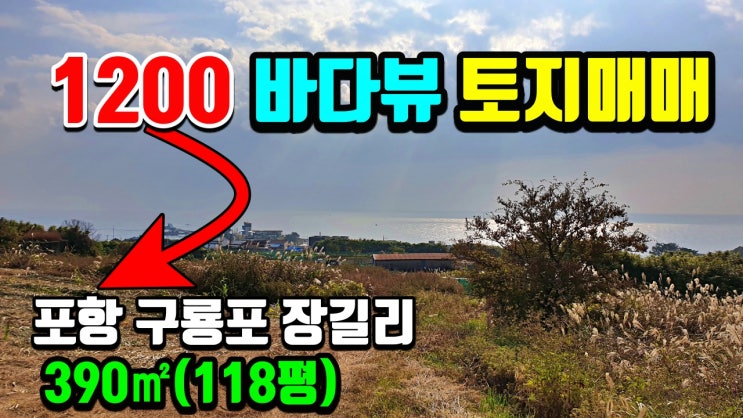 경북 포항부동산 구룡포 장길리 바다뷰 토지매매 - 텃밭 주말농장용 시골 땅매매