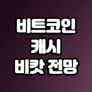  비트코인 캐시 전망 및 호재