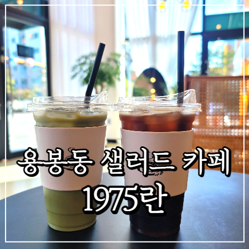  용봉동 카페 1975란, 샐러드 정기배송