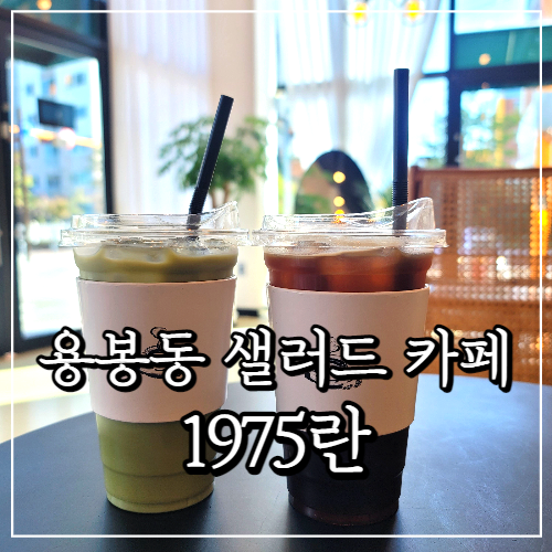 용봉동 카페 1975란, 샐러드 정기배송