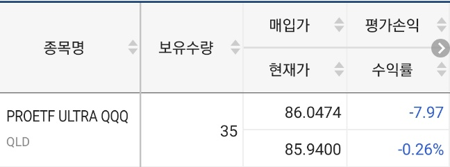  QLD 적립식 투자 일지 (첫 마이너스 돌입)