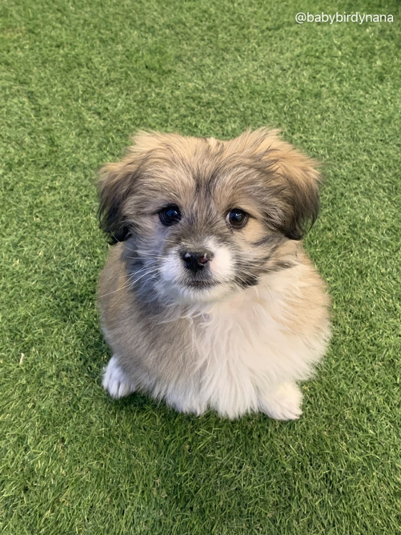 사진 9