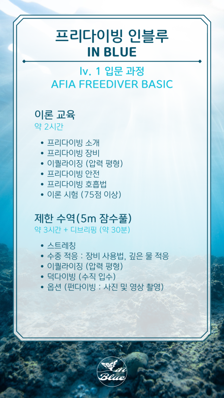  [프리다이빙 인블루] 아피아 프리다이버 베이직｜AFIA FREEDIVER BASIC
