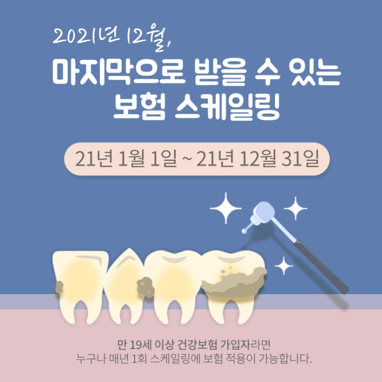  2021년 12월, 마지막으로 받을 수 있는 보험 스케일링